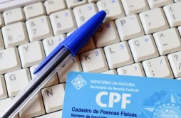 Como Consultar CPF Negativado: Passo a Passo e Soluções